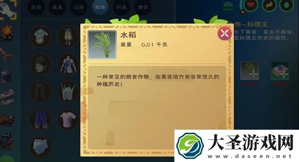 创造与魔法水稻获得方法