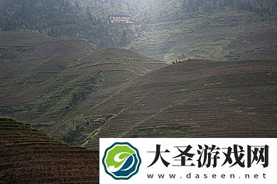 ****一区二区三区四区|****四区探险