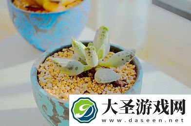 ***一卡二卡三卡