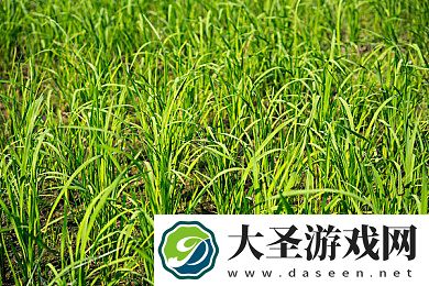 女神联盟礼包｜女神联盟礼包