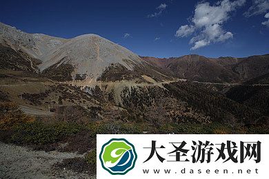 芋圆呀呀