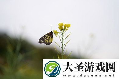 十大黄色入口