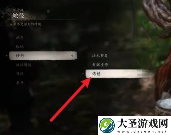 黑神话悟空铁中血有什么用