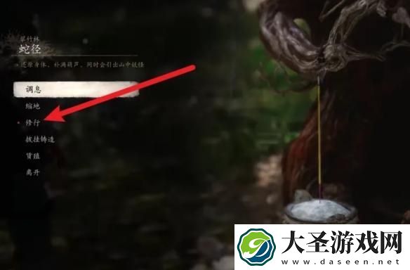 黑神话悟空铁中血有什么用