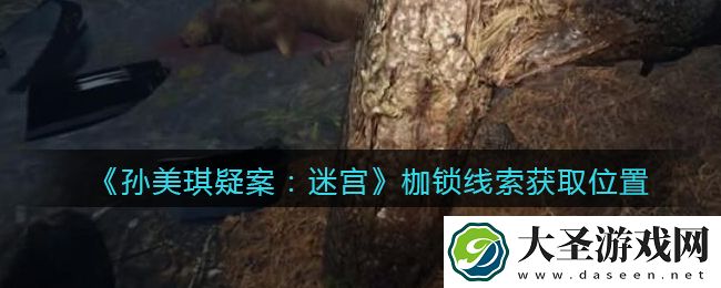 孙美琪疑案迷宫攻略枷锁在哪里