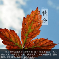 明星那些不为人知的事｜明星光环背后的真实生活