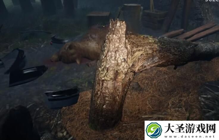 孙美琪疑案迷宫攻略断树在哪里