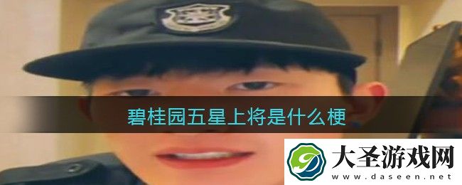 碧桂园五星上将是什么梗