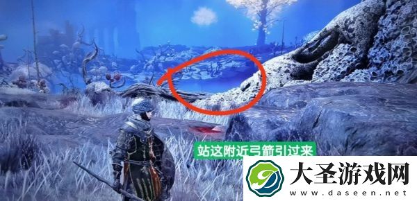 艾尔登法环死亡仪式鸟如何逃课