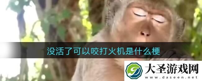 没活了可以咬打火机是什么梗