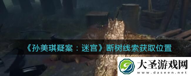 孙美琪疑案迷宫攻略断树在哪里