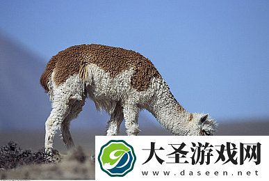 丝瓜污｜“丝瓜污”事件引发关注