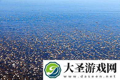 网上怎么找gay源