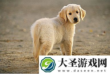 天美传媒