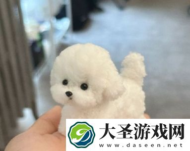 推特Chinese体育生互做｜“推特竞技场