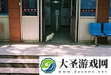 周莹回老家祭祖后续