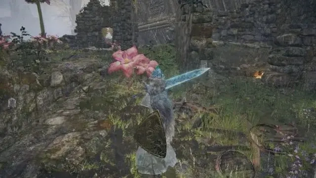艾尔登法环死亡的咒痕如何获得
