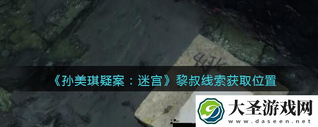 孙美琪疑案迷宫攻略黎叔在哪里