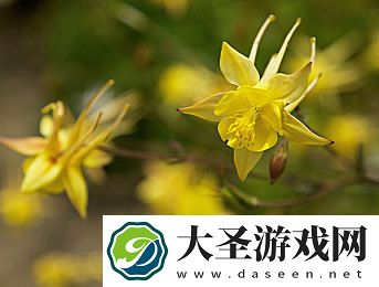 好大⋯用力⋯深一点野战ktv｜户外音乐盛宴
