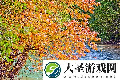 无人视频在线观看视频下载