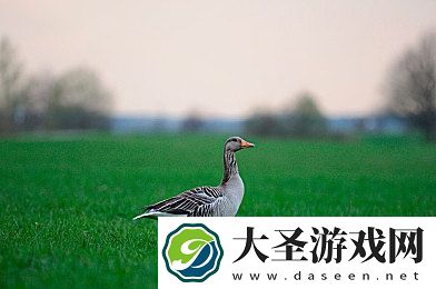 真实的缅甸北部视频｜揭开缅甸北部神秘面纱