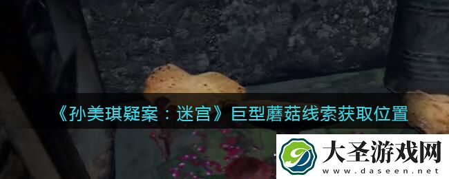 孙美琪疑案迷宫攻略巨型蘑菇在哪里