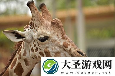 大肉蟒撑开稚嫩紧窄｜力量觉醒