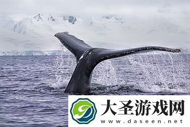 周莹回老家祭祖后续