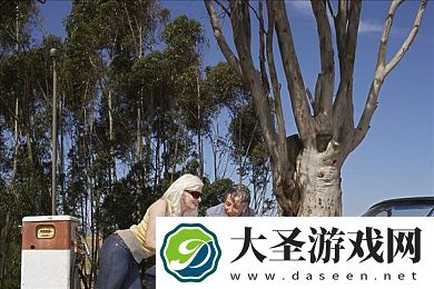 waswaswaskino.