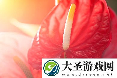 西方37大但人文艺