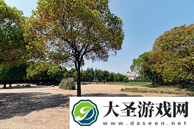 97看电影