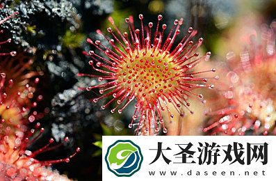 十大最污软件下载｜探索刺激！揭秘十大热门“污”软件