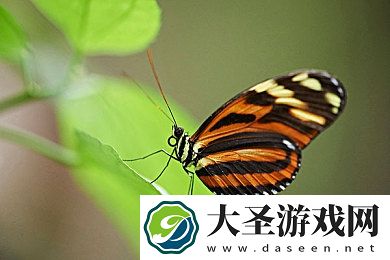 原神申鹤掀起奶盖Xman｜原神新角色申鹤引爆奶盖Xman潮流