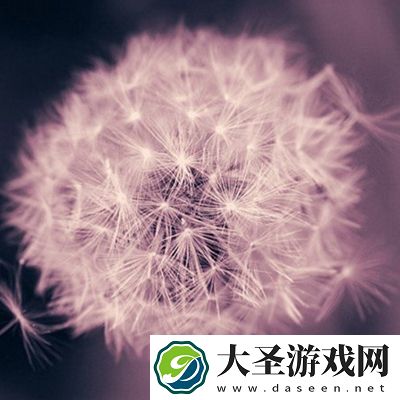 花季传媒APP