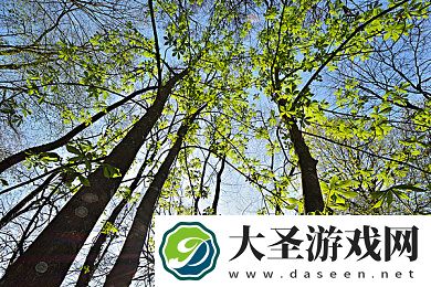 绿色影院｜绿色影院兴起