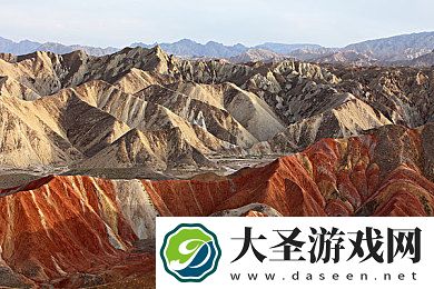 一本到视频