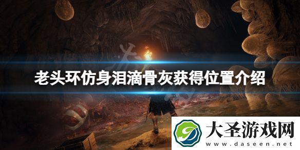艾尔登法环仿身泪滴骨灰在哪获得