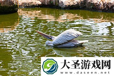 摸逼逼综合网｜社交互动游戏