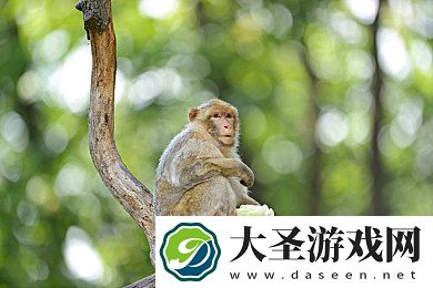 这里只有的精品996热