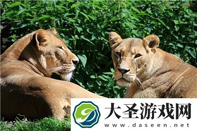 男性裸体网站gay大受