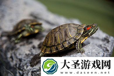 花季传媒APP