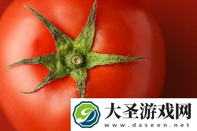 向日葵app下载汅api免费网址安卓