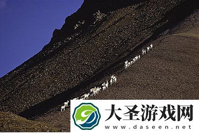 十大最污软件下载｜探索刺激！揭秘十大热门“污”软件