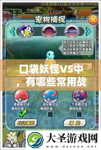口袋妖怪VS中