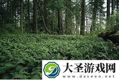 2015久章草在线视频播放｜江湖武侠之旅