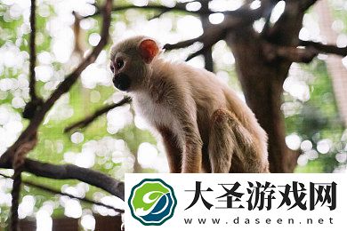 时间静止的学院1