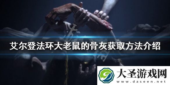 艾尔登法环大老鼠的骨灰如何获得