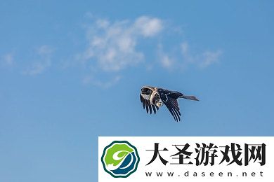 我半夜摸妺妺的奶C了她软件｜守护家园