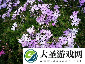 2015久章草在线视频播放｜江湖武侠之旅