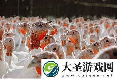 男同网站超人